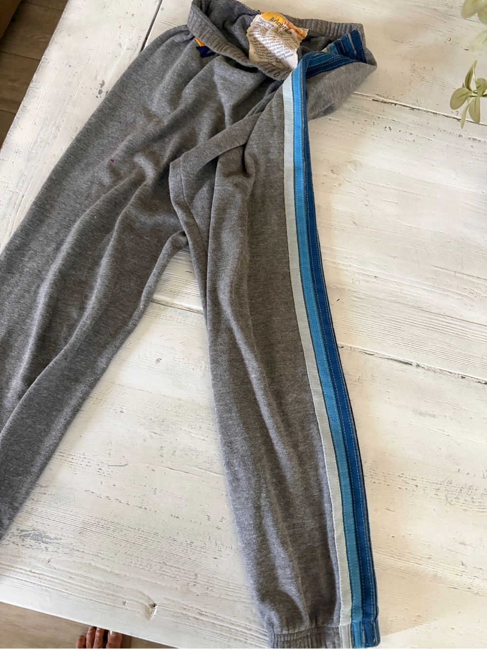 Aviator Nation Gray Track Joggers with Blue Stripe